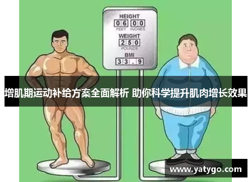 增肌期运动补给方案全面解析 助你科学提升肌肉增长效果